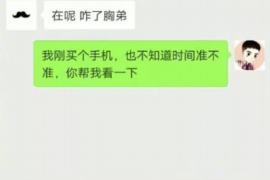 桦甸为什么选择专业追讨公司来处理您的债务纠纷？